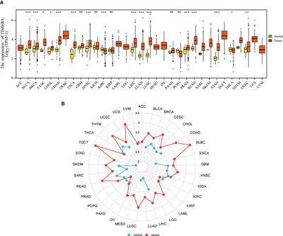 Upregulation of TIMM8A is correlated with prognosis and immune regulation in BC